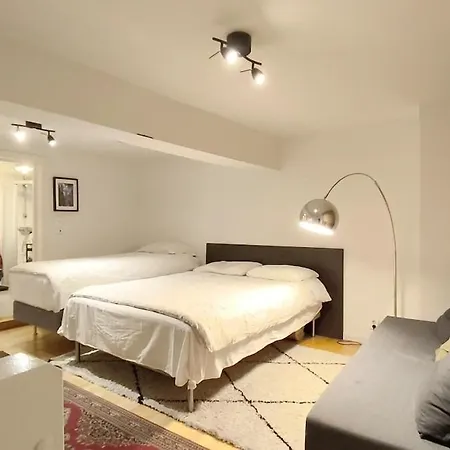 Duplex S Oslo