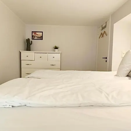 Duplex S Lejlighed Oslo