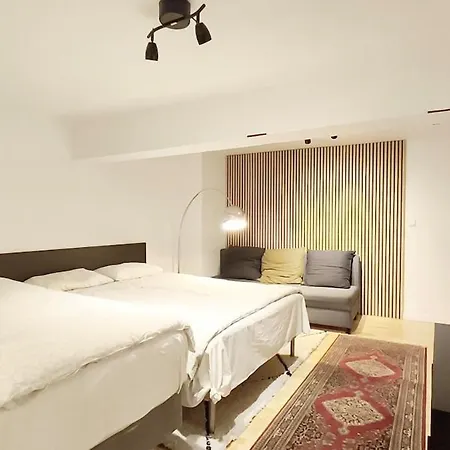 Duplex S Lejlighed Oslo