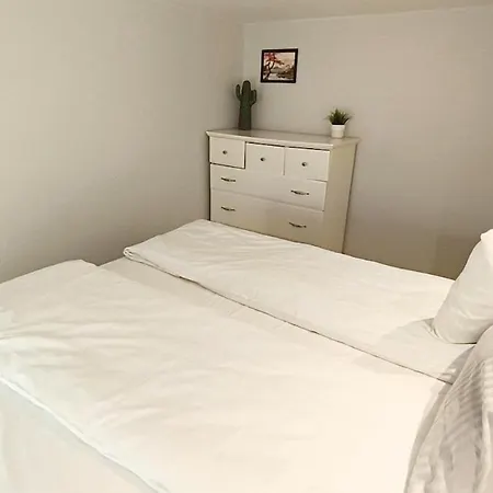Duplex S Oslo